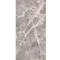 Ceramic tiles